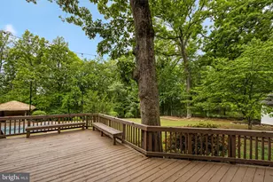 6528 Windham Ave, Alexandria, VA 22315 - Photo 47