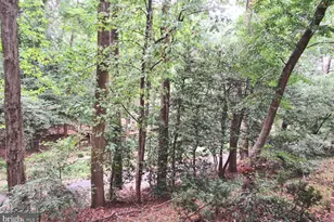 1532 Northgate Square, Reston, VA 20190 - Photo 15