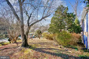 6144 Chesterbrook Rd, McLean, VA 22101 - Photo 3