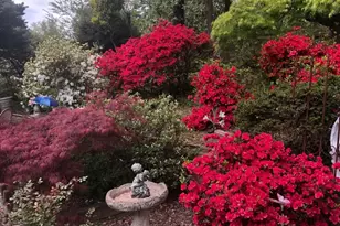 6144 Chesterbrook Rd, McLean, VA 22101 - Photo 5