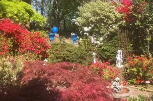 6144 Chesterbrook Rd, McLean, VA 22101 - Photo 7