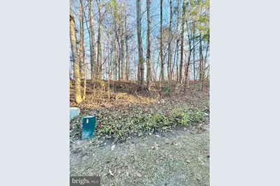 8263 Burning Forest Court, Springfield, VA 22153 - Photo 39