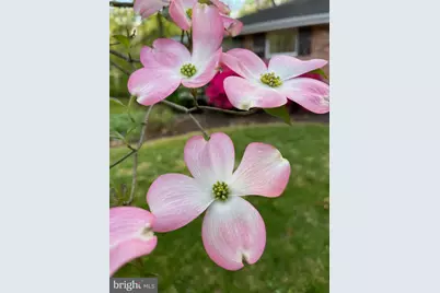 5638 Bellington Avenue, Springfield, VA 22151 - Photo 65