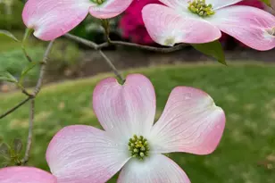 5638 Bellington Ave, Springfield, VA 22151 - Photo 65