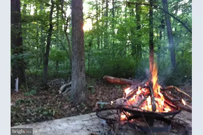 5638 Bellington Avenue, Springfield, VA 22151 - Photo 53