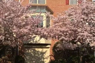 6238 Windham Hill Run, Alexandria, VA 22315 - Photo 1