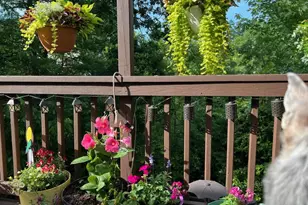 13082 Park Crescent Cir, Herndon, VA 20171 - Photo 31