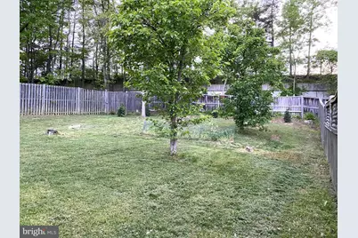 7684 Green Garland Drive, Springfield, VA 22153 - Photo 51