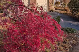 7580 Woodstown Dr, Springfield, VA 22153 - Photo 43