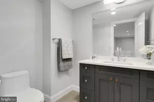 305 Old Court House Rd NE, Vienna, VA 22180 - Photo 59