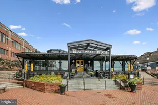 1136 Arcturus Ln, Alexandria, VA 22308 - Photo 67