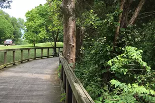 1136 Arcturus Ln, Alexandria, VA 22308 - Photo 49