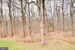 11844 Clara Way, Fairfax Station, VA 22039 - Photo 41