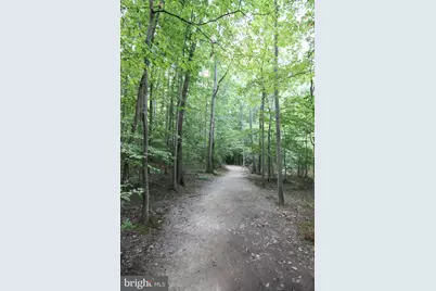 9820 Westwood Manor Court, Burke, VA 22015 - Photo 53