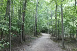 9820 Westwood Manor Ct, Burke, VA 22015 - Photo 53