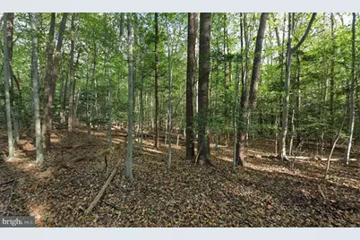 161 Yarnick Road, Great Falls, VA 22066 - Photo 1