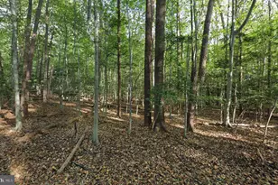 161 Yarnick Rd, Great Falls, VA 22066 - Photo 1