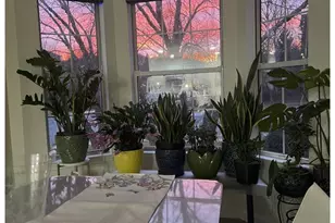 11701 Scooter Ln, Fairfax, VA 22030 - Photo 5