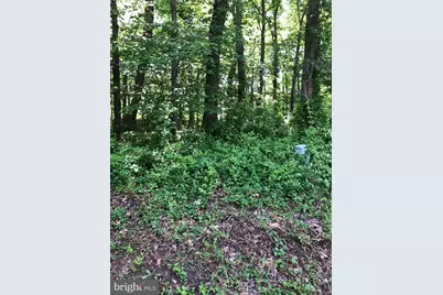 1539 Woodcrest Drive, Reston, VA 20194 - Photo 31