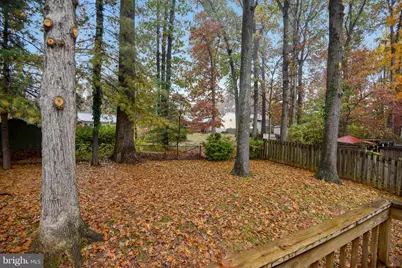 5729 Heming Avenue, Springfield, VA 22151 - Photo 49