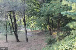 6480 Cheyenne Dr, Alexandria, VA 22312 - Photo 27