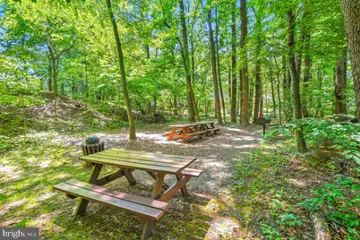 5902 Mount Eagle Drive #1501, Alexandria, VA 22303 - Photo 69