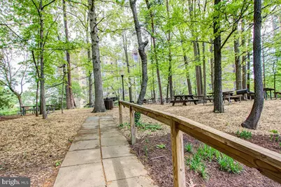 5902 Mount Eagle Drive #1501, Alexandria, VA 22303 - Photo 69