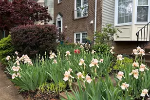 2810 Andiron Ln, Vienna, VA 22180 - Photo 37