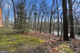 11807 Breton Ct, Reston, VA 20191 - Photo 29