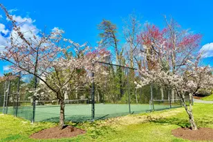 4330 Cannon Ridge Ct, Fairfax, VA 22033 - Photo 29