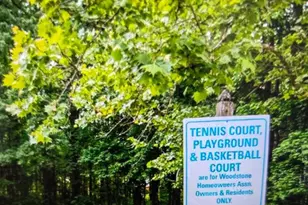 7114 Westfield Ct, Alexandria, VA 22306 - Photo 47