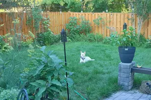 7114 Westfield Ct, Alexandria, VA 22306 - Photo 45