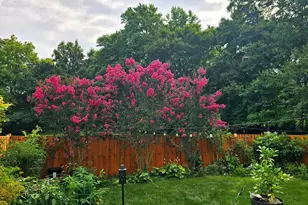 7114 Westfield Ct, Alexandria, VA 22306 - Photo 43