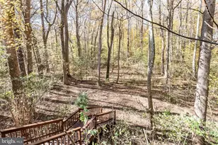 11410 Octagon Ct, Fairfax, VA 22030 - Photo 69