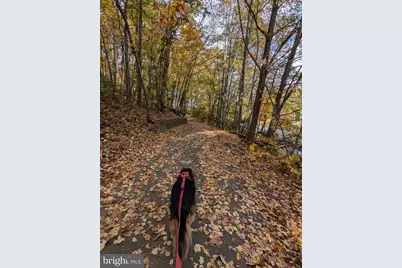 11276 Silentwood Lane, Reston, VA 20191 - Photo 43