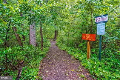 3401 Blue Mallard Landing, Alexandria, VA 22306 - Photo 55
