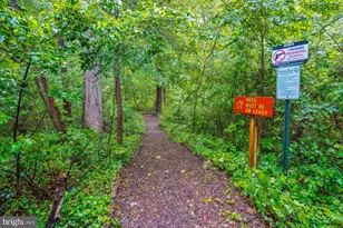 3401 Blue Mallard Landing, Alexandria, VA 22306 - Photo 55
