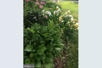 2412 Cavendish Drive, Alexandria, VA 22308 - Photo 51