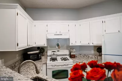 4408 Helmsford Lane #302, Fairfax, VA 22033 - Photo 7