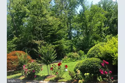 10809 Nicholsridge Road, Great Falls, VA 22066 - Photo 43