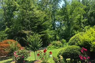 10809 Nicholsridge Rd, Great Falls, VA 22066 - Photo 43