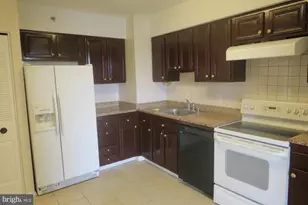 3709 George Mason Dr S, Falls Church, VA 22041 - Photo 41