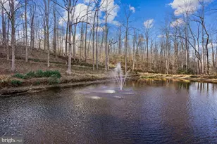 7480 Dunquin Ct, Clifton, VA 20124 - Photo 105
