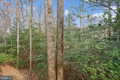 2217 Lovedale Lane #210A, Reston, VA 20191 - Photo 25