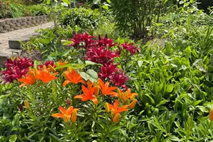 3619 Hummer Rd, Annandale, VA 22003 - Photo 3