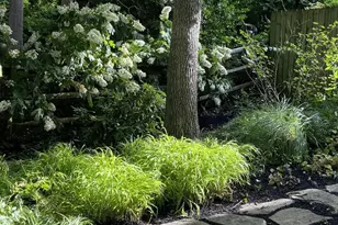 3402 Charleson St, Annandale, VA 22003 - Photo 15