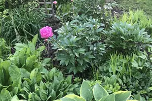 3402 Charleson St, Annandale, VA 22003 - Photo 73