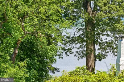 815 Arcturus On The Potomac, Alexandria, VA 22308 - Photo 59