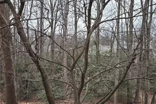 1537 Church Hill Pl, Reston, VA 20194 - Photo 27