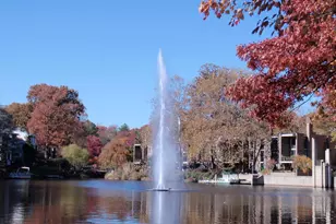 1537 Church Hill Pl, Reston, VA 20194 - Photo 33